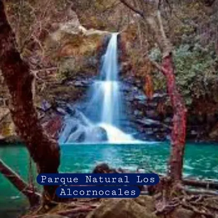 Soto Blues - Puerto Deportivo * Sotogrande
