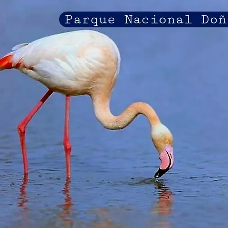 Daire Soto Blues - Puerto Deportivo