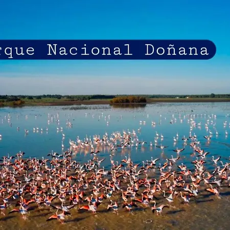 Soto Blues - Puerto Deportivo Daire